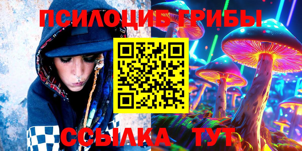 Киселёвск  Псилоцибиновые грибы MAGIC MUSHROOMS  Вход с VPN  Галлюциногенные грибы мицелий 