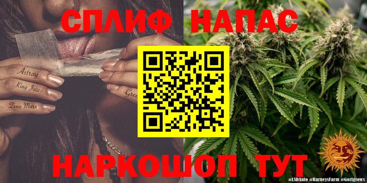 Бошки марихуана семена Киселёвск